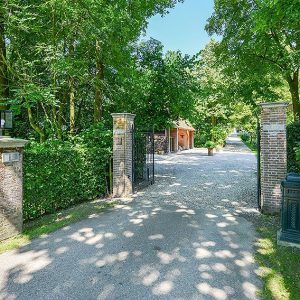 00000012-Fagus-sylvatica-beech-hedge-country-estate-villa-garden-driveway-formal
