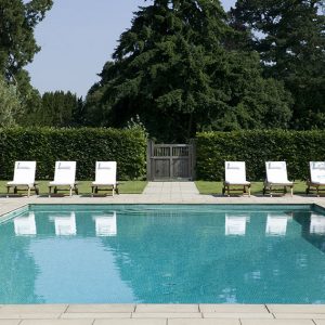 00750696-Fagus-beech-hedge-screen-formal-modern-design-estate-Pool-garden-landscape
