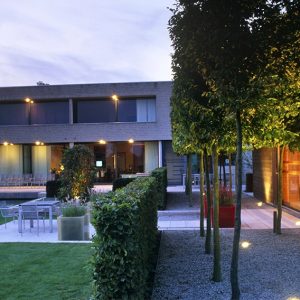 01058444-Fagus-beech-hedge-design-modern-barrier-contemporary-garden-room-estate-formal