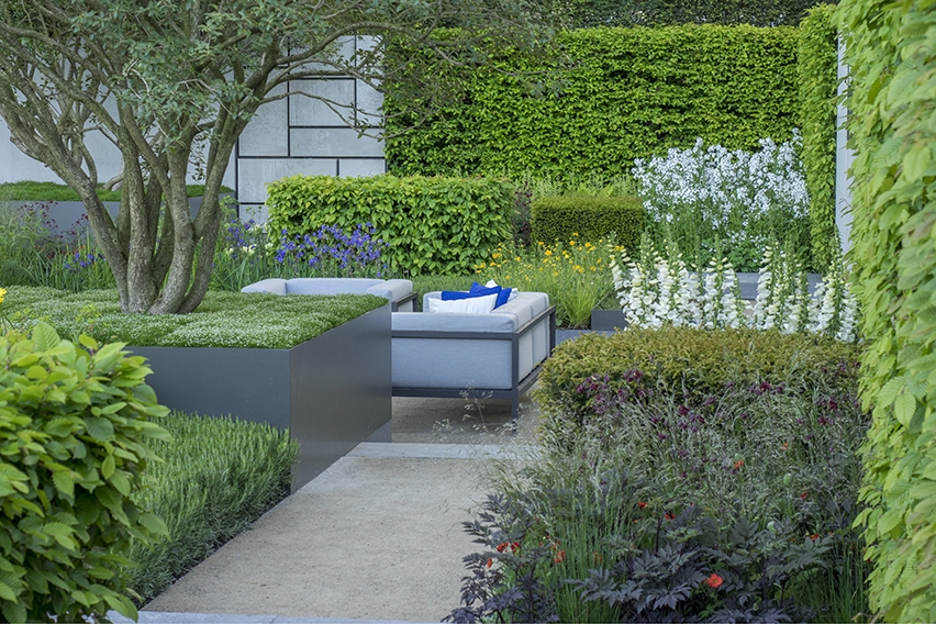 Use multiple types of hedges in a hotel courtyard to integrate several layers of texture and colors
