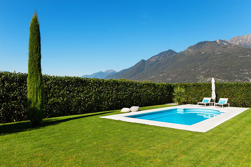 155618789-fagus-beech-hedge-screen-pool-suburban-estate-modern-garden-design-privacy