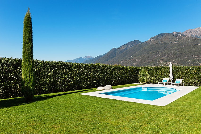 155618789-prunus-laurel-privacy-hedge-swimming-pool-country-estate-modern-contemporary-suburban-summer-wind-break-block