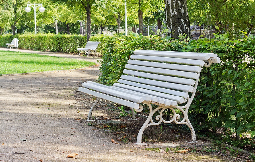 212160064-fagus-beech-hedge-bench-city-urban-park-privacy-green-space