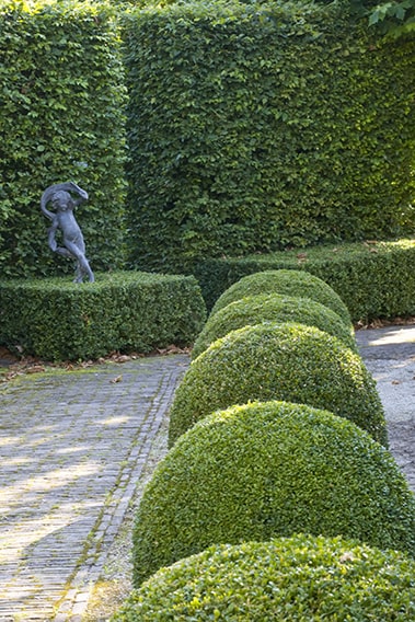 21353-Fagus-beech-Buxus-boxwood-hedge-modern-garden-design-sculpture-contemporary-stone-path