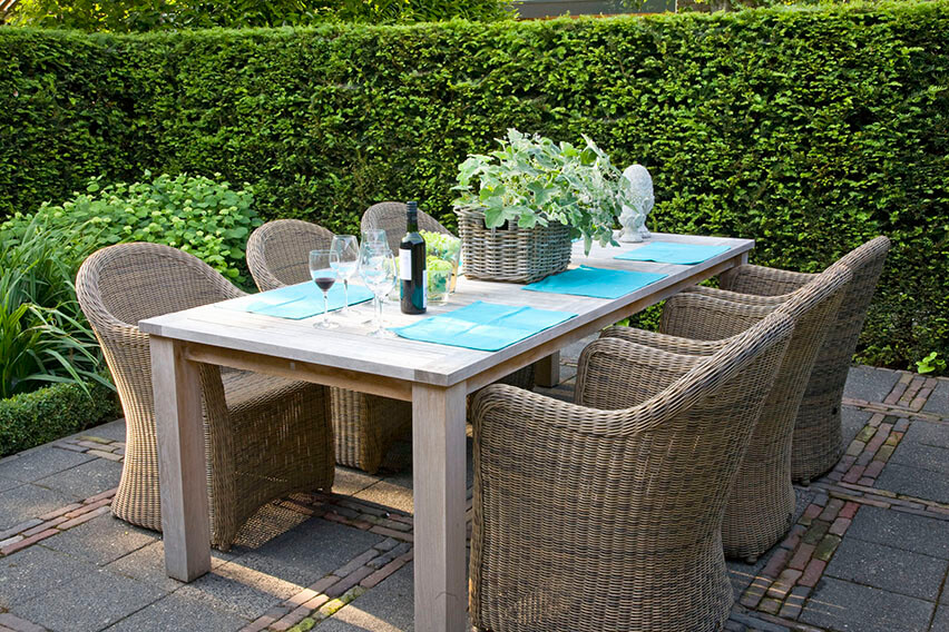 23881-Taxus-yew-country-modern-garden-cottage-patio-privacy-outdoor-dining