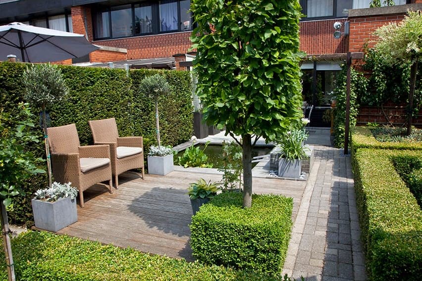 27796-Buxus-boxwood-Taxus-yew-hedge-urban-garden-trimmed-patio-courtyard-commonspace-preformed