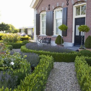 28328-buxus-boxwood-knot-garden-low-border-paths-country-estate-cottage-manor-park-historic