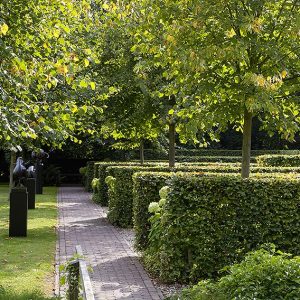 28541-fagus-beech-hedge-estate-commercial-park-garden-path-sculpture-modern-contemporary-hydrangea