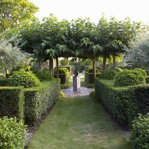 28600-Taxus-yew-Prunus-laurel-hedge-modern-garden