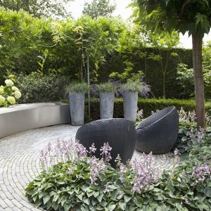 32440-Taxus-yew-hedge-modern-garden