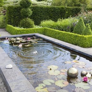 34283-Buxus-boxwood-Taxus-yew-hedge-formal-modern-estate-garden-fountain