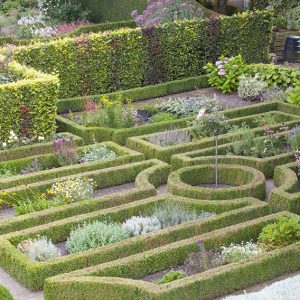 34882-Buxus-boxwood-Fagus-beech-hedge-formal-garden