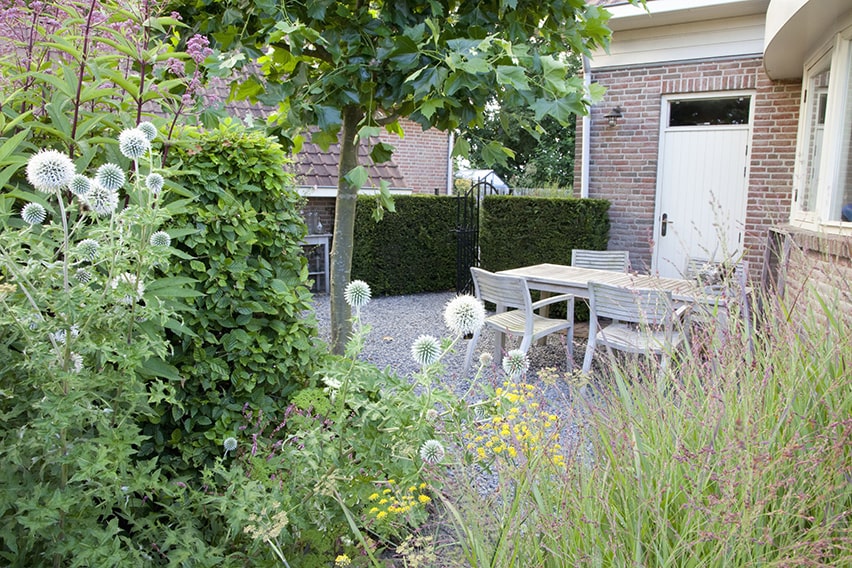 37270-Taxus-yew-hedge-Fagus-beech-urban-garden-suburban-patio-courtyard-summer