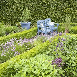 38510-boxwood-buxus-fagus-beech-hedge-privacy-country-cottage-knot-garden-bench-herb-flower-border