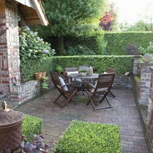 43812-Buxus-boxwood-hedge-country-garden-patio-suburban-outdoor-dining