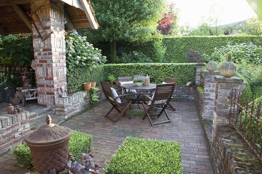 43812-Buxus-boxwood-thuja-arborvitae-privacy-hedge-country-garden-suburban-patio-outdoor-dining