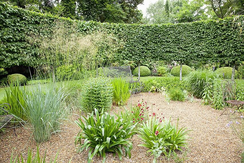 44982-Fagus-hedge-beech-country-garden-summer-grass-curve-contemporary-design