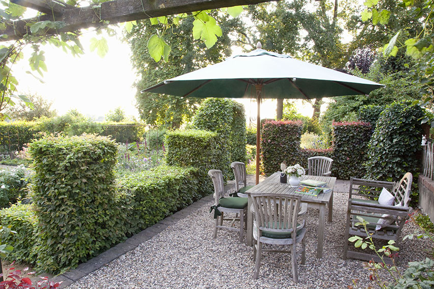 56964-fagus-beech-hedge-screen-patio-suburban-outdoor-dining-back-yard-garden
