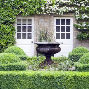 shutterstock_669295120-buxus-boxwood-knot-garden-low-border-cottage-country-rustic-estate