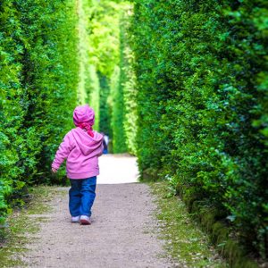 664287787-maze-garden-child-running-hedge-tall