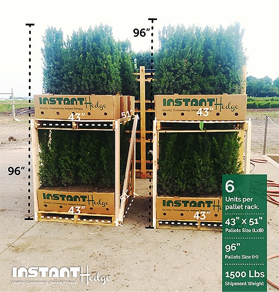 InstantHedge-three-four-foot-tall-hedge-shipping-rack-stack-harvested-pallets