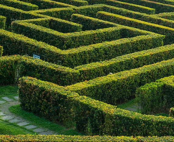 Maze Garden design with hedges