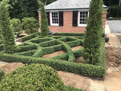 Well-manicured Schmidt Boxwood hedge in a residential project, enhancing the home's curb appeal.