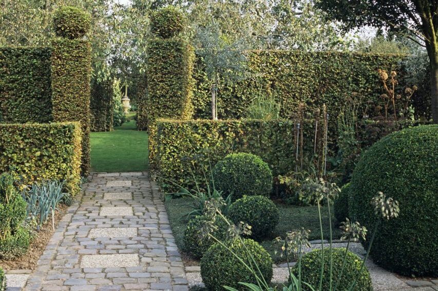 56809-fagus-beech-hedge-purple-green-copper-mixed-varied-height-layers-border-modern-contemporary-design-suburban-garden