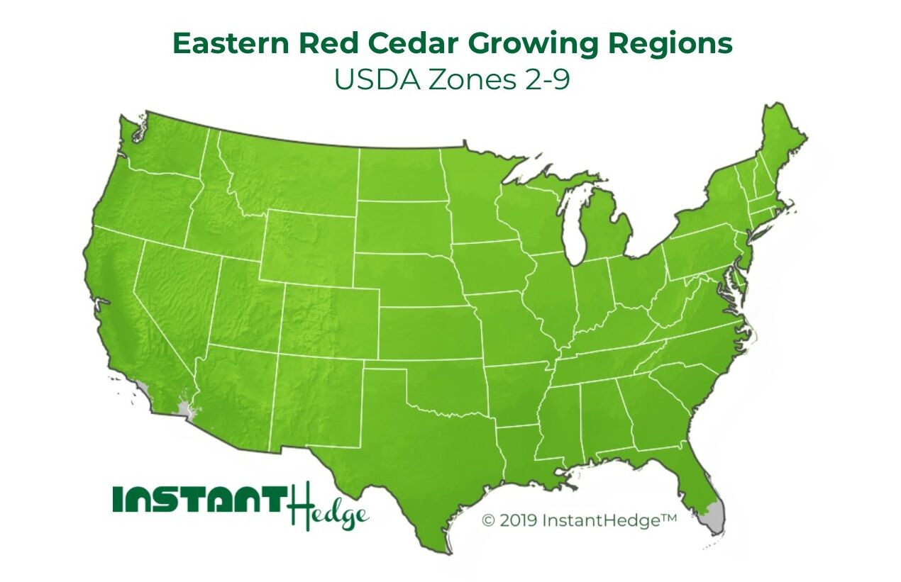 Eastern Red Cedar Growing Conditions Eastern Red Cedar
