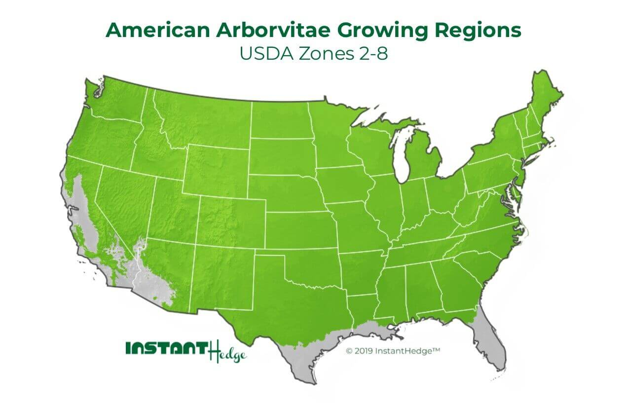 American Arborvitae Growing Regions American Arborvitae Growing Regions