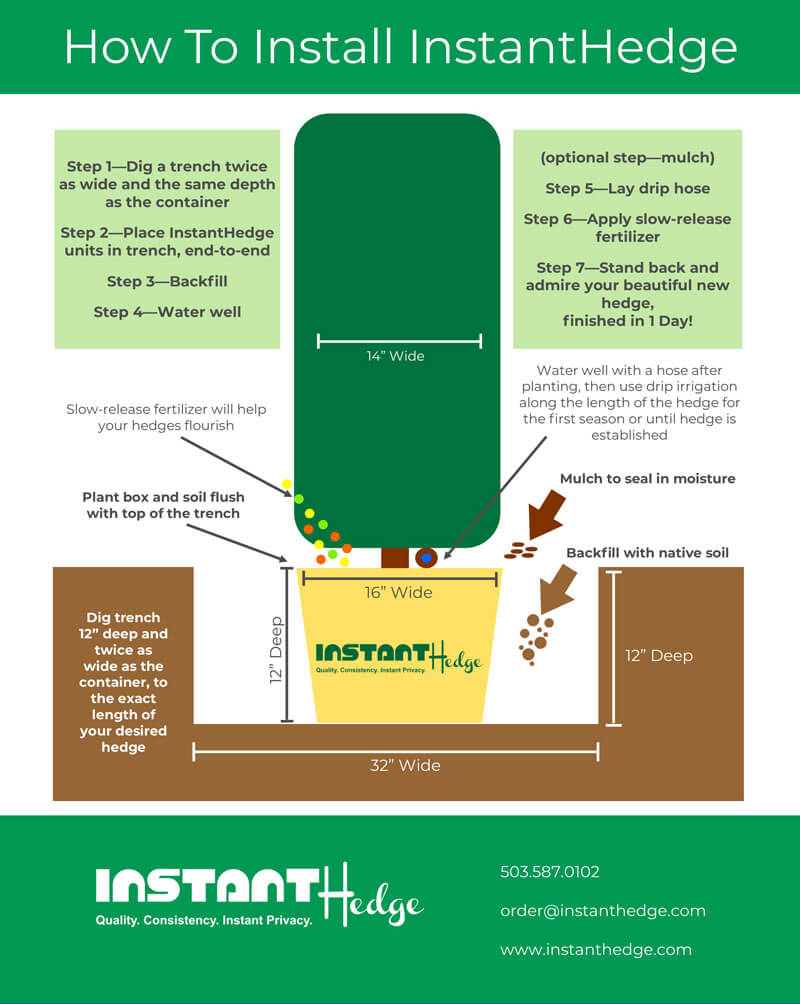 How to Plant Hedges Planting Hedges InstantHedge Blog