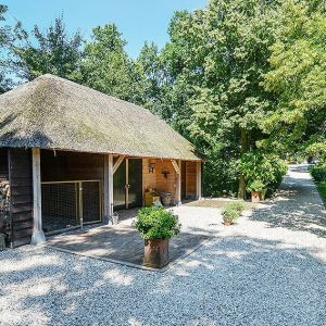 00000014-Fagus-sylvatica-beech-country-estate-cottage-driveway-entry-parking-landscape