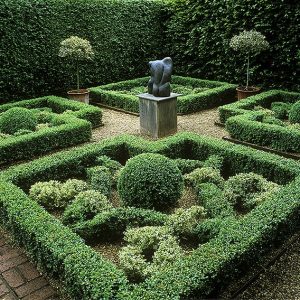 00747051-Fagus-beech-Buxus-boxwood-formal-knot-garden-sculpture-contemporary