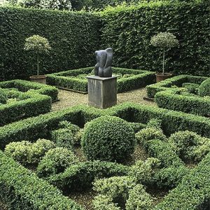 00748645-Fagus-beech-Buxus-boxwood-formal-knot-garden-sculpture