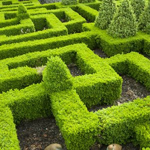 Bourton House Garden, Glos., UK (Paice) knot garden