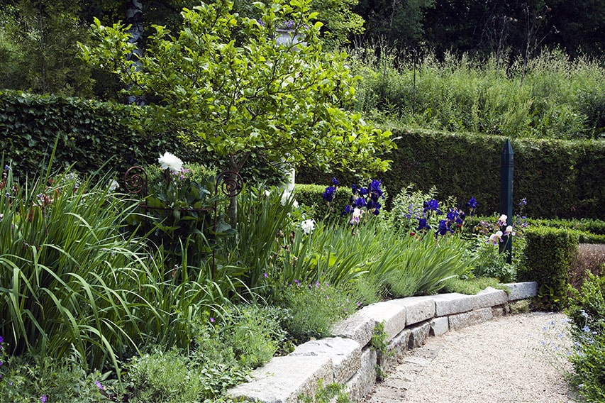 00850052-Fagus-beech-hedge-cottage-garden-path-flowers-spring