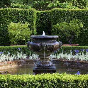 01058883-Buxus-Taxus-estate-park-public-fountain-min