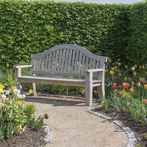 01462539-Fagus-beech-hedge-park-estate-garden-spring-flowers-path-cottage-privacy