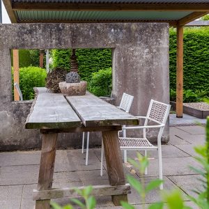 1113985514-taxus-yew-hedge-tall-privacy-green-evergreen-modern-contemporary-landscape-garden-concrete-stone-table-patio-outdoor-eating