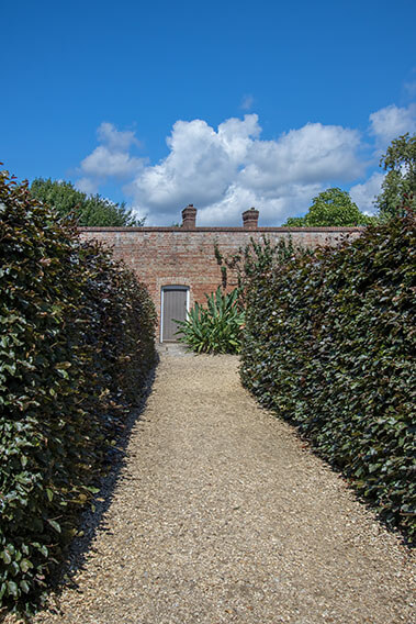 1156571695-fagus-beech-hedge-purple-copper-path-driveway-country-cottage-garden