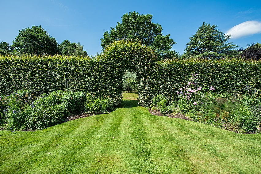 1201092013-fagus-beech-privacy-hedge-arch-country-cottage-garden-flower-summer