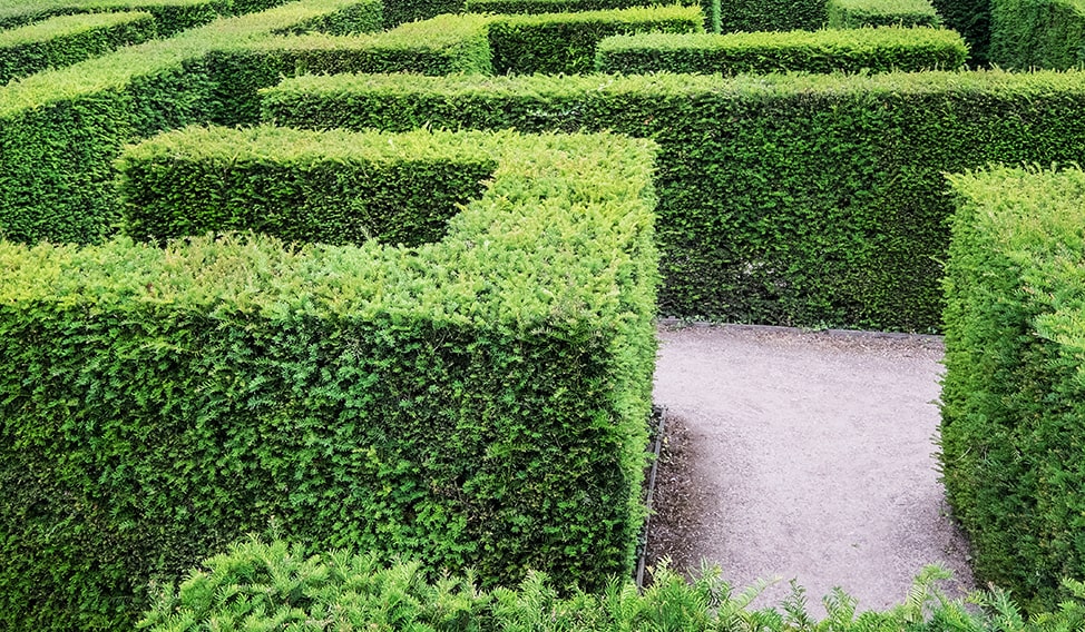 1272480169-taxus-yew-hedge-tall-privacy-maze-garden-path-estate-formal-park-museum-art-min