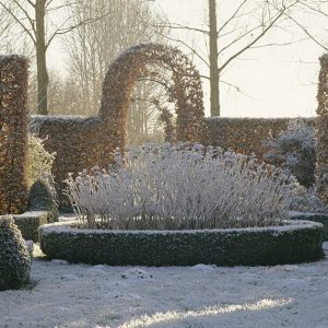 18217-Fagus-beech-yew-Buxus-boxwood-hedge-formal-estate-modern-garden-winter-snow