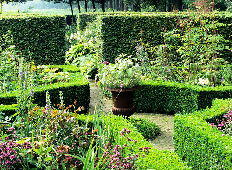 Evenly bordered walkways with Boxwood hedge and country garden framed with European Beech hedges