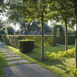 20729-Taxus-yew-Fagus-beech-hedge-formal-modern-garden-arch-path-stone