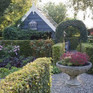 20738-Fagus-beech-hedge-formal-country-garden-cottage-flowers-summer-courtyard