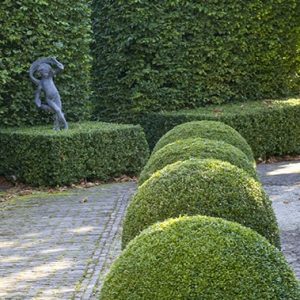 21353-Fagus-beech-Buxus-boxwood-hedge-modern-garden-design-sculpture-contemporary-stone-path