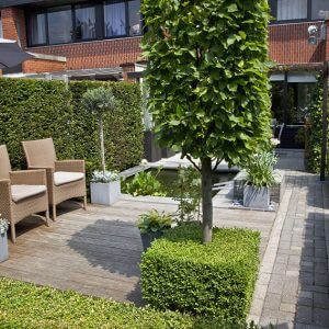 27796-Buxus-boxwood-Taxus-yew-hedge-urban-garden-trimmed-patio-courtyard-commonspace-preformed