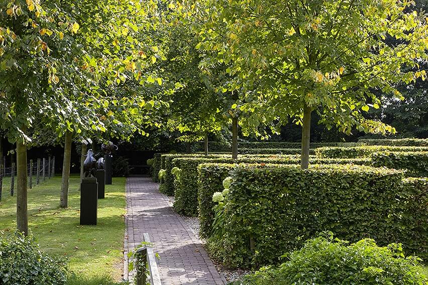 28541-fagus-beech-hedge-estate-commercial-park-garden-path-sculpture-modern-contemporary-hydrangea