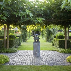 28619-Prunus-lusitanica-Portuguese-Laurel-Hedge-modern-garden